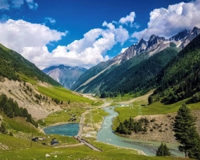 Golden Meadows of Kashmir