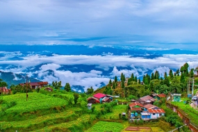 1676615669_705696-darjeeling.jpg