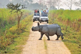 Tour to Kaziranga National Park 