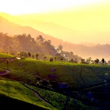 Land Of Peace And Tranquility Kerala