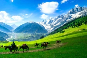 1685618592_787512-Golden-Meadows-Of-Kashmir.jpg