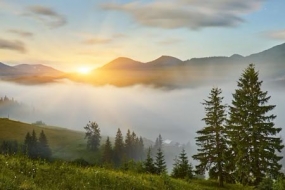 Splendid Hills