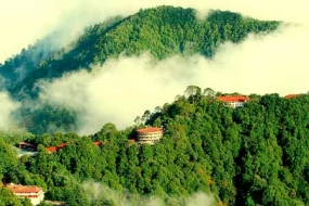 Gifts of Nature