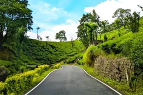 Munnar Thekkady Tour Package From Cochin 