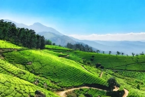 2N/3D Munnar Tour Package