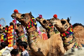 6N/7D Rajasthan Holiday Package