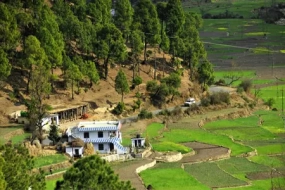 Nainital Kausani Jim Corbett Package