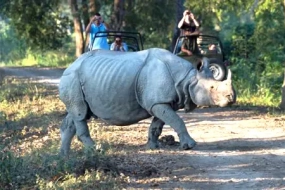 1701675828_351960-shillong-kaziranga-tour-package-image.webp