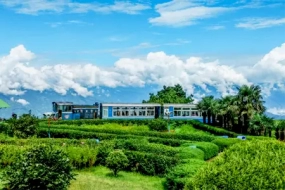 Darjeeling Gangtok Tour Package From Siliguri