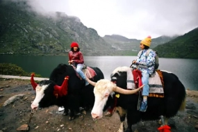 Tsongmo Lake And Baba Mandir Tour From IXB/NJP