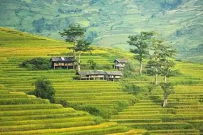 1702896659_350602-bali-tour-package-4-days-3-nights-image.webp