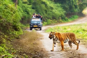 2 Nights 3 Days Package in Jim Corbett