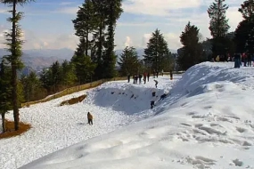 Shimla Kullu Manali Tour Package from Delhi  