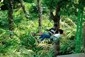 Wayanad Tour Package for Couples