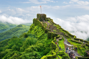 1784978172_315853-Misty-Meadows-of-Mahabaleshwar.png