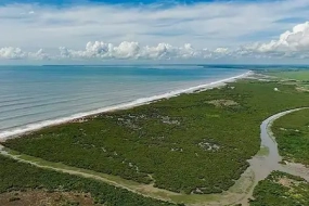 1788412585_378217-Odisha-Beach.webp