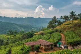 1788844592_429747-Araku-Valley.webp